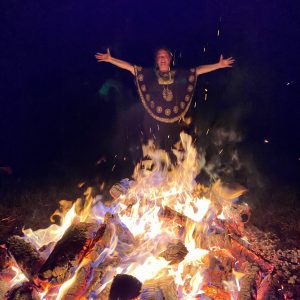 Hollis-on-fire